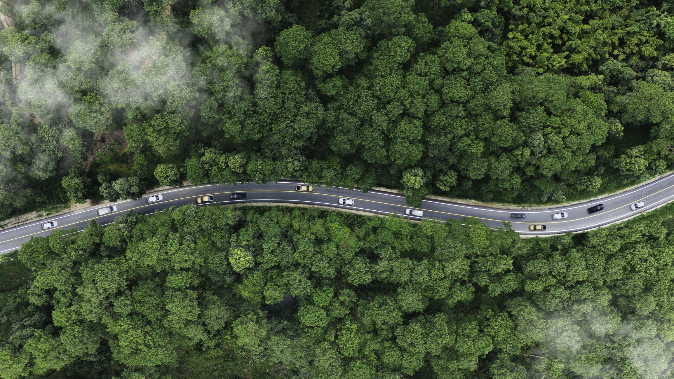 A highway winds through a forest.